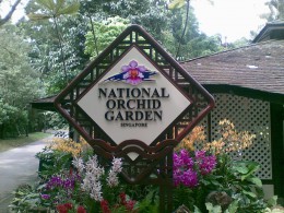 Парк орхидей. Природа
