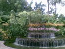 Парк орхидей, Сингапур