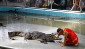Крокодиловая ферма, Бангкок, Таиланд