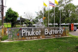 Сад бабочек. Таиланд → о.Пхукет → Развлечения