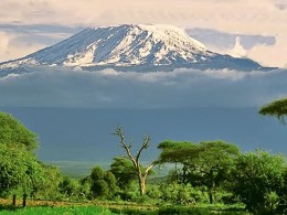 Килиманджаро. Танзания → Природа