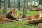 Зоопарк Сказка, Крым, Россия