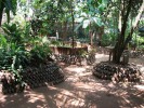 Сады специй, Когалла, Шри-Ланка