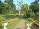 Ботанический сад, Канди, Шри-Ланка