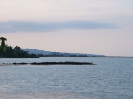Озеро Тана. Природа