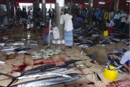 Рыбный рынок на Мальдивах. Мальдивы → Острова → Шопинг