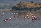 Озера, Танзания