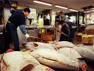 Рыбный рынок Цукидзи, Токио, Япония