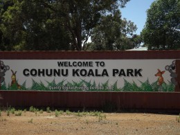 Парк "Коуну Коала". Природа
