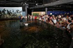 Мельбурнский аквариум, Мельбурн, Австралия