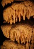 Дженоланские Пещеры, Сидней, Австралия