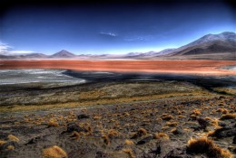 Красная лагуна Колорадо. Боливия → Ла-Пас → Природа