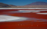 Красная лагуна Колорадо, Ла-Пас, Боливия
