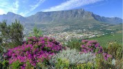 Столовая гора, Кейптаун, ЮАР