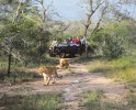 Национальный парк Эддо-Элефант, ЮАР