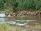 Национальный парк Крюгер, Мпумаланга, ЮАР