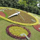 Английский парк и цветочные часы