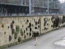 Ботанический сад в Женеве, Женева, Швейцария
