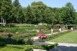 Сад Роз в Берне. Природа