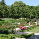 Сад Роз в Берне