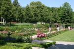 Сад Роз в Берне, Берн, Швейцария