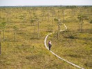 Национальный парк Соомаа, Вильянди, Эстония