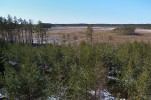 Природная тропа Нельятеэристи, о.Хийумаа, Эстония