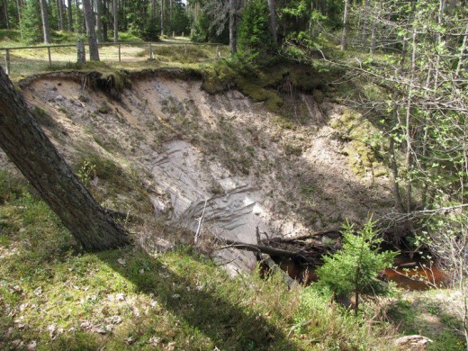 Учебная тропа в долине Ванайыэ. Природа