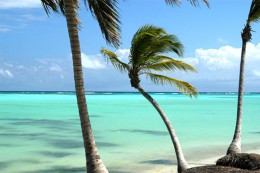 Остров Саона. Доминикана → Ла-Альтаграсиа → Природа