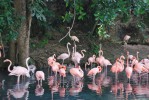 Национальный парк Харагуа, Провинция Педерналес, Доминикана
