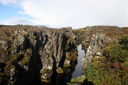 Национальный парк Йекюльсарэльювюр. Исландия → Западный берег реки Йекюльсау-ау-Фьедлюм → Природа