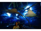 Океанариум — Подводный мир - Underwater World, о.Лангкави, Малайзия
