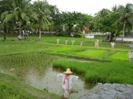 Музей Рисовый сад