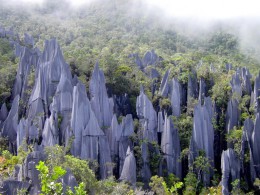 Национальный парк Гунунг Мулу (Таман Негара Гунунг Мулу). о.Борнео → Природа
