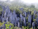 Национальный парк Гунунг Мулу (Таман Негара Гунунг Мулу), о.Борнео, Малайзия