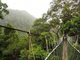 Национальный парк Малудам. о.Борнео → Природа