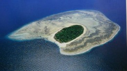 Национальный парк Черепаховые острова. о.Борнео → Природа
