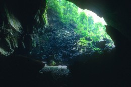 Сэм По Тонг (Пещера Триратны). Природа