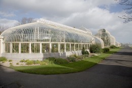 Национальный ботанический сад Гласневин. Дублин → Природа