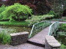 Национальный ботанический сад Гласневин, Дублин, Ирландия