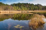 Аукштайский национальный парк, Аукштай, Литва