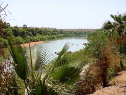 Ниоколо-Коба. Сенегал → Природа