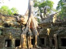 Та Прохм, Ангкор, Камбоджа