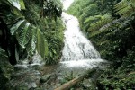 Природные парки, Габон