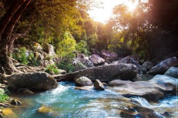 Водопады Бахо. Вьетнам → Нячанг → Природа
