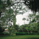 Ботанический сад Абури