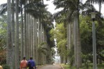 Ботанический сад Абури, Гана