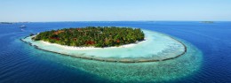 Остров Курамба. Мальдивы → Острова → Природа