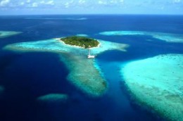 Остров Кудафолуду. Мальдивы → Острова → Природа