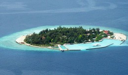 Остров Ара. Мальдивы → Острова → Природа